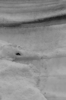 雪の回廊　八幡平アスピーテライン